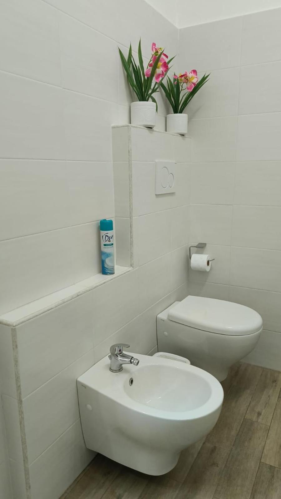 Rome Apartment D'Amata Ciampino Luaran gambar